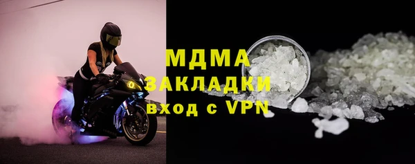 гидра Каменка
